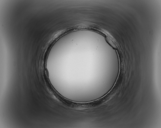 X0000086310485200704202005