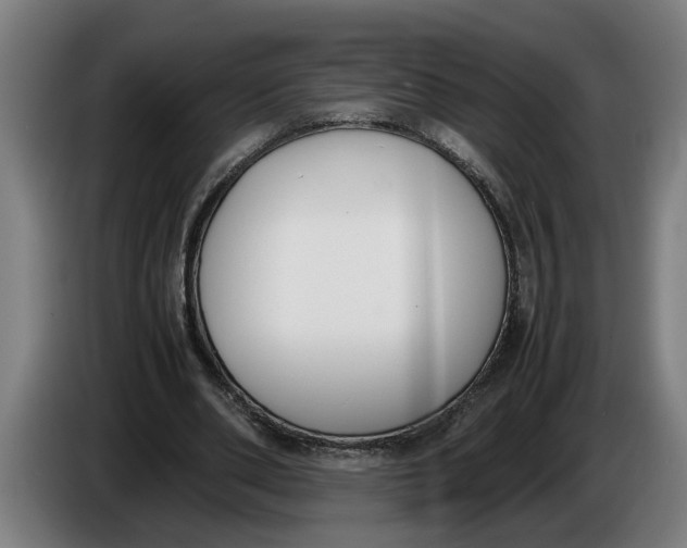 X0000086310486200704202005