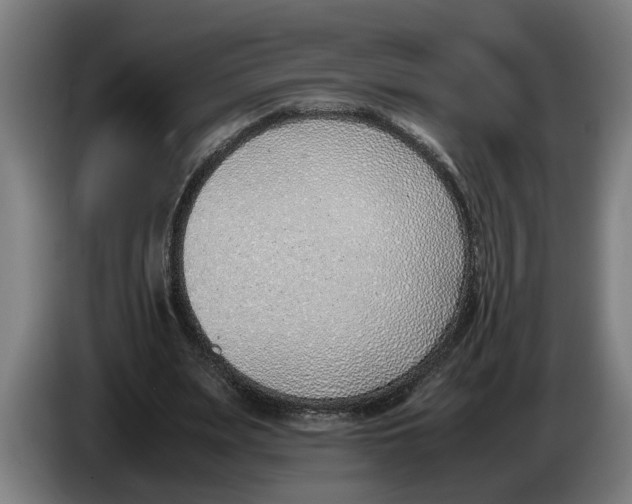 X0000086310487200704202005