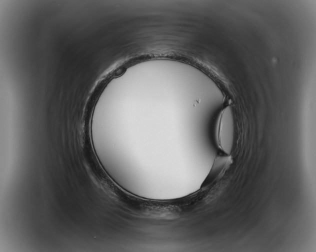 X0000086310488200704202005