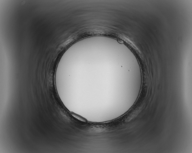 X0000086310489200704202005