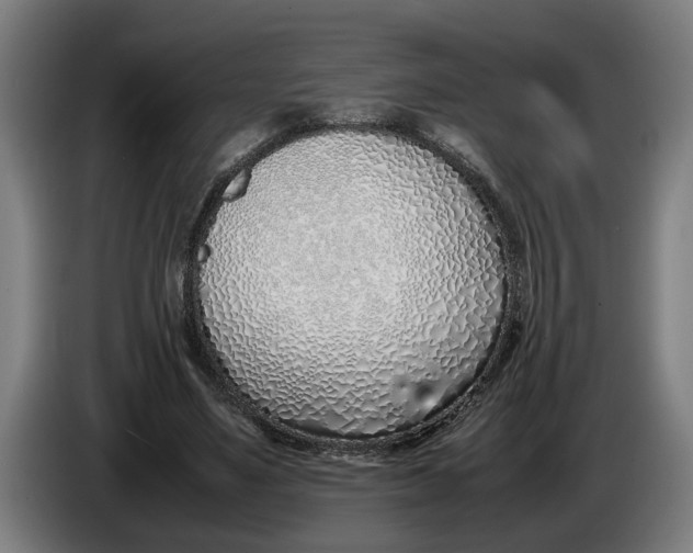 X0000086310491200704202005