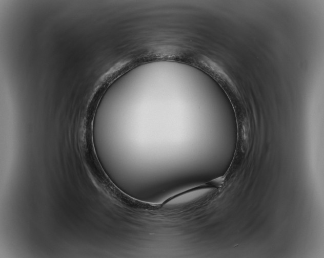 X0000086310492200704202005