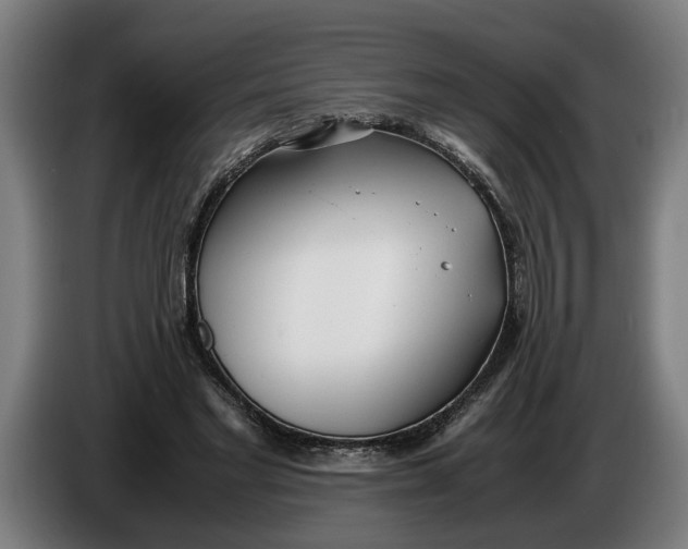 X0000086310493200704202005