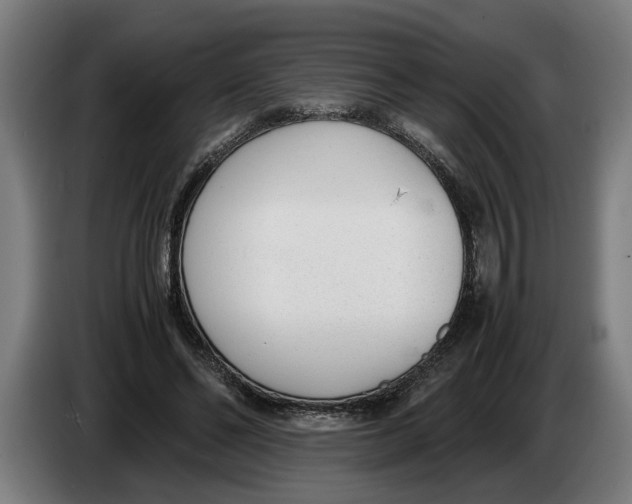 X0000086310494200704202005