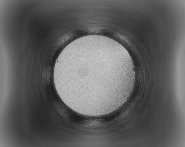 X0000086310495200704202005