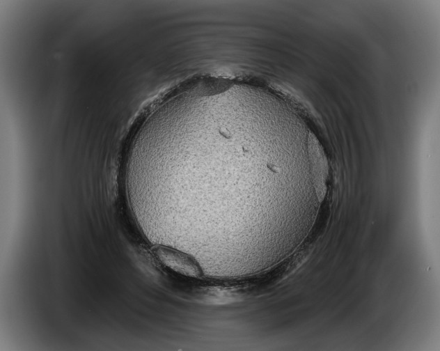 X0000086310496200704202005