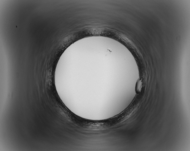 X0000086310497200704202005