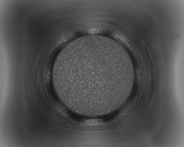 X0000086310499200704202005