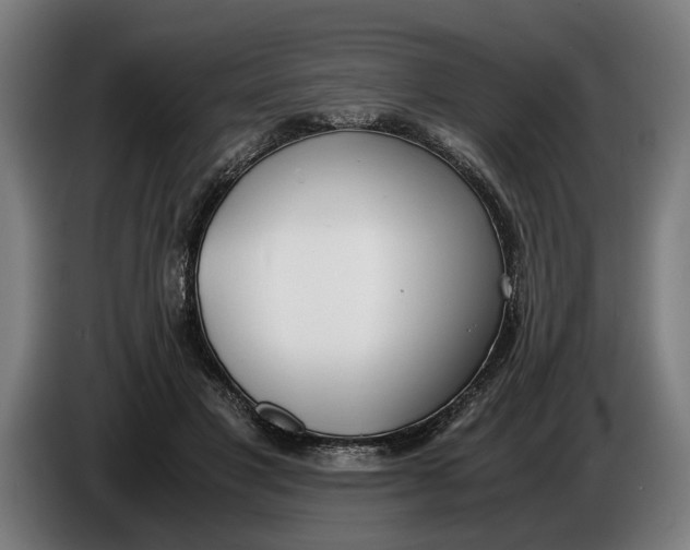 X0000086310501200704202005