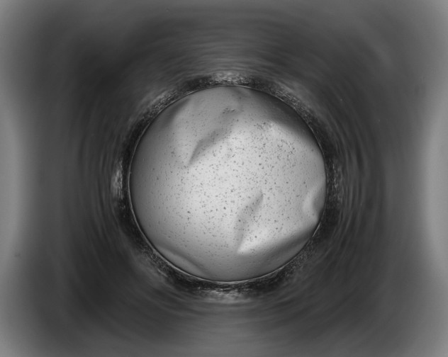 X0000086310502200704202005