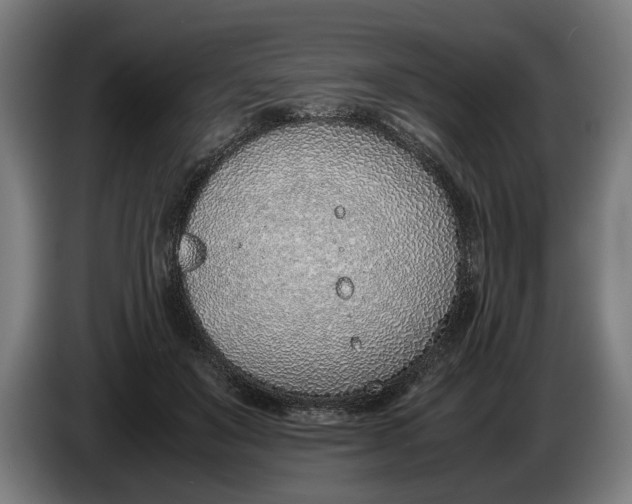 X0000086310503200704202005