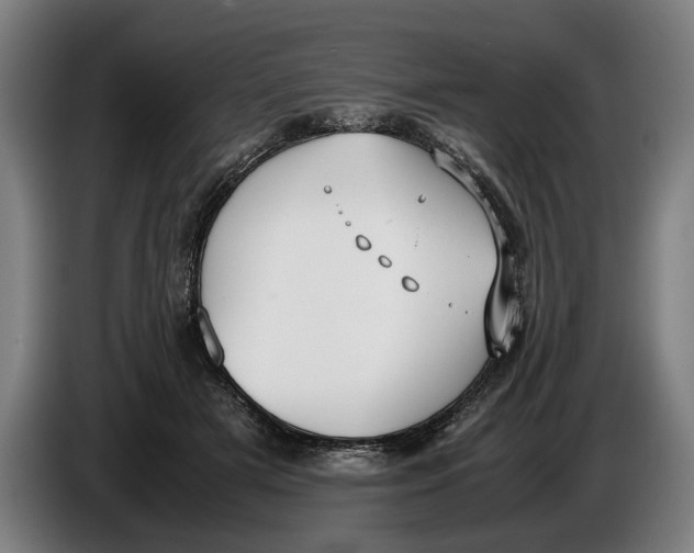 X0000086310505200704202005