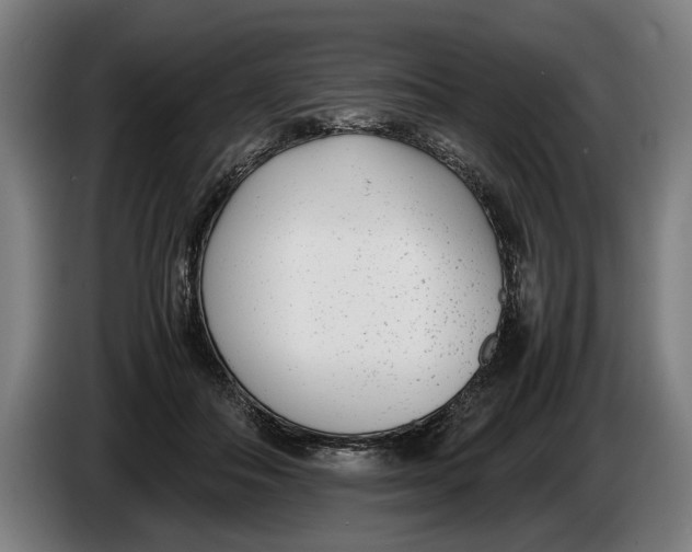 X0000086310506200704202005