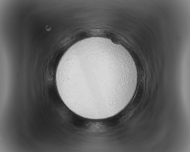 X0000086310507200704202005