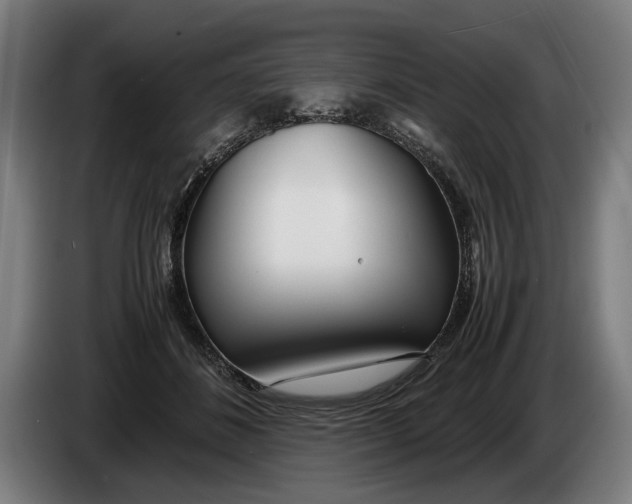 X0000086310508200704202005