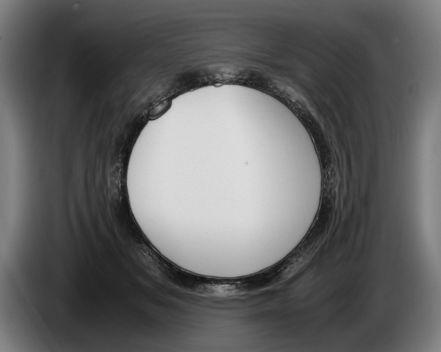 X0000086310509200704202005