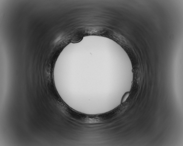 X0000086310510200704202005