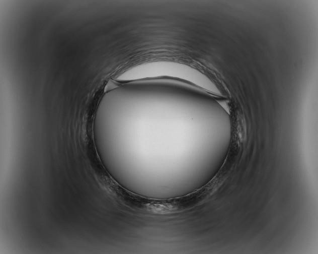 X0000086310512200704202005