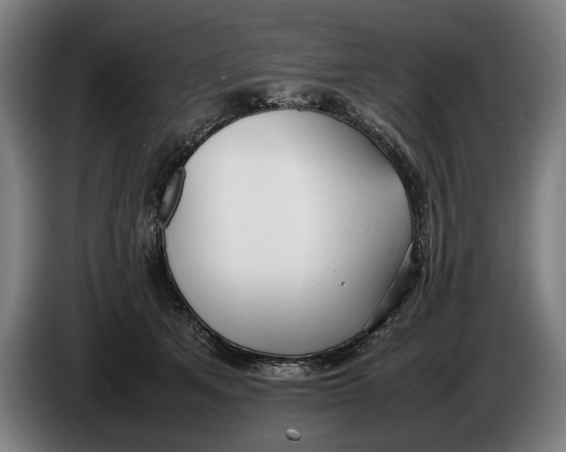 X0000086310513200704202005