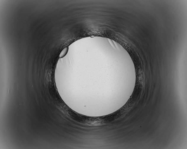 X0000086310514200704202005