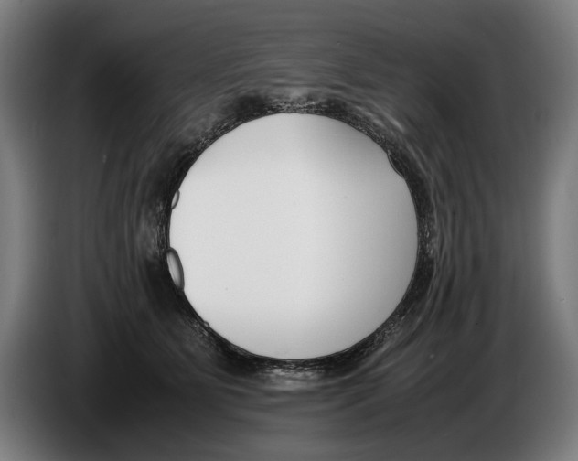 X0000086310515200704202005