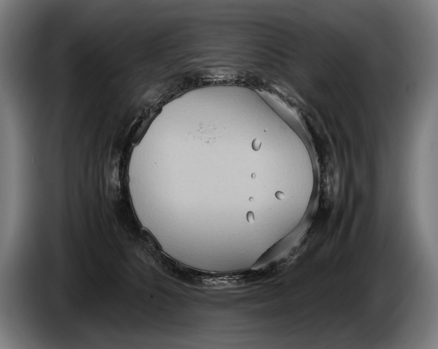 X0000086310516200704202005