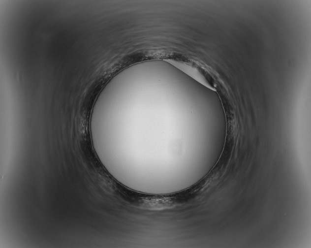 X0000086310517200704202005