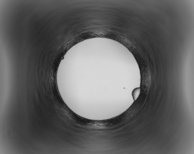 X0000086310518200704202005