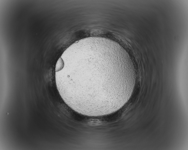 X0000086310519200704202005