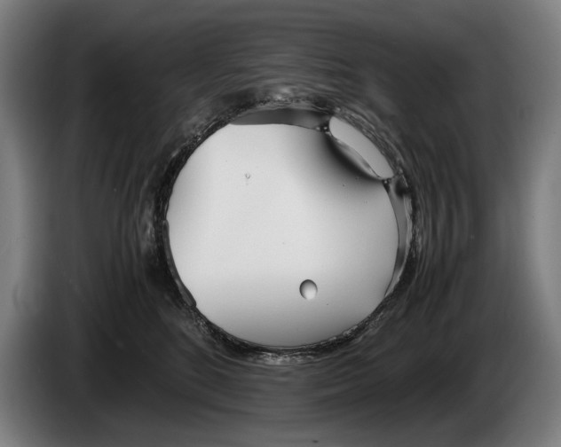 X0000086310520200704202005