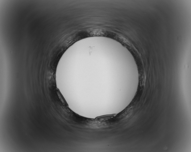 X0000086310521200704202005