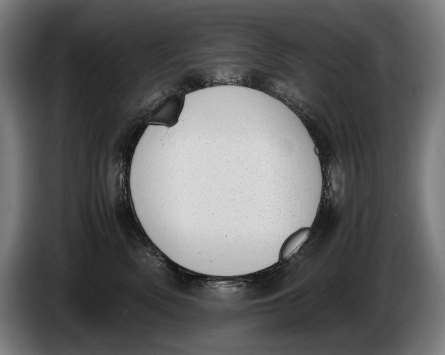 X0000086310522200704202005