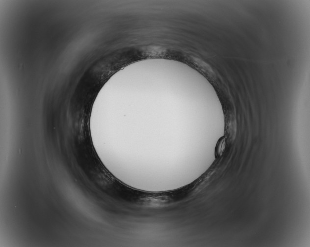 X0000086310525200704202005