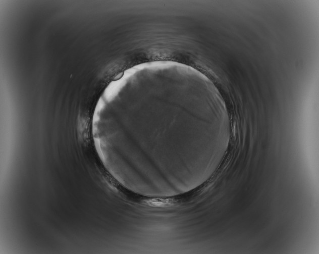 X0000086310526200704202005