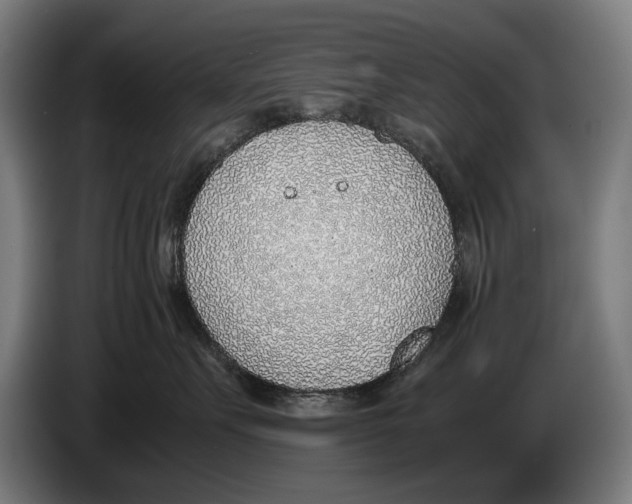 X0000086310527200704202005