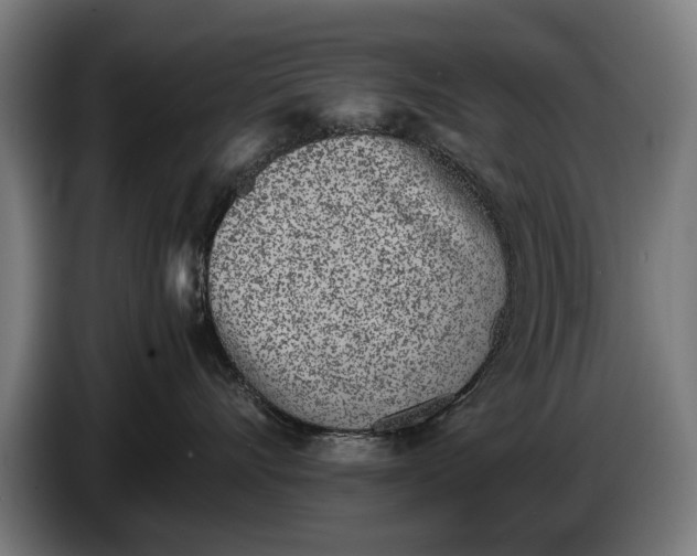 X0000086310528200704202005