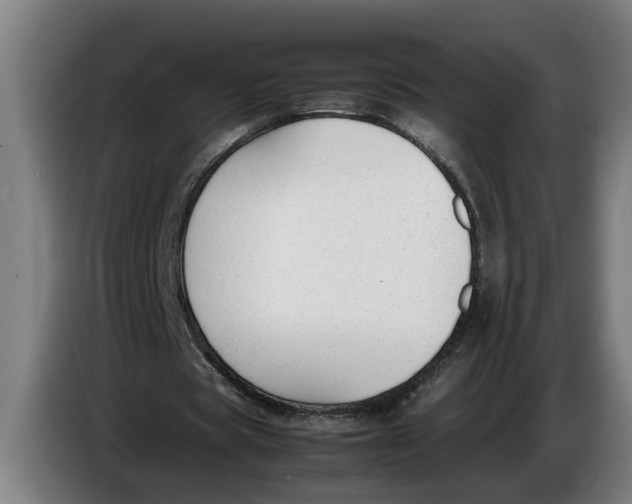 X0000086310529200704202004