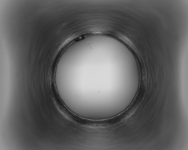 X0000086310530200704202004