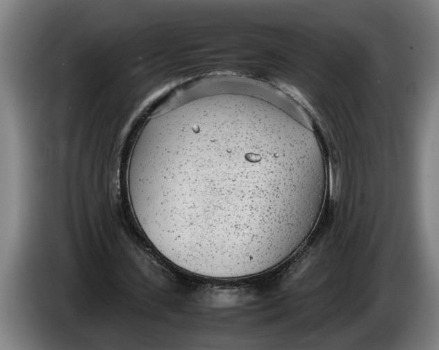 X0000086310531200704202004