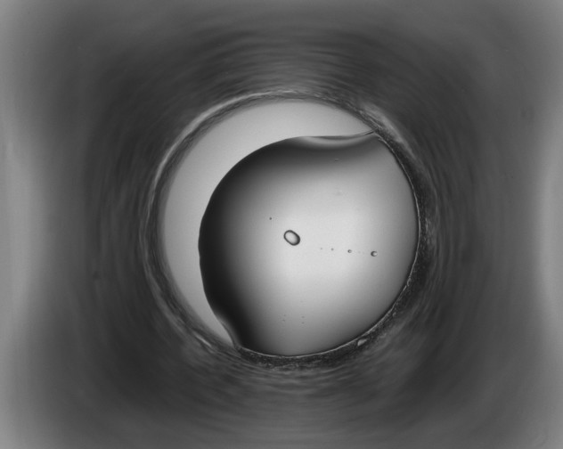 X0000086310532200704202004