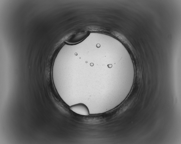 X0000086310533200704202004