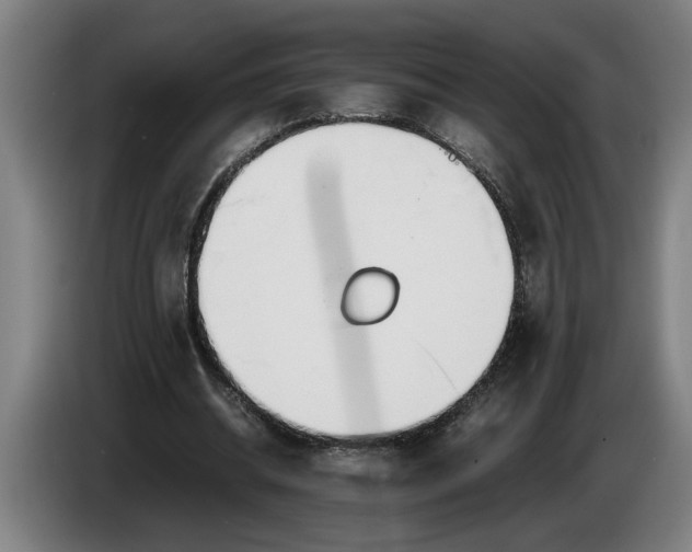 X0000086310534200704202004