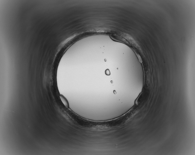 X0000086310536200704202004