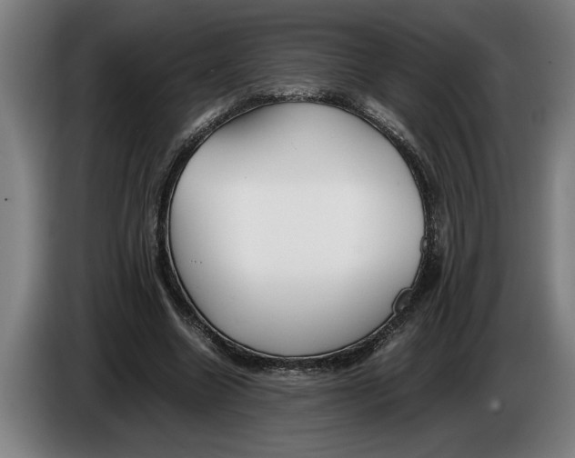 X0000086310538200704202004