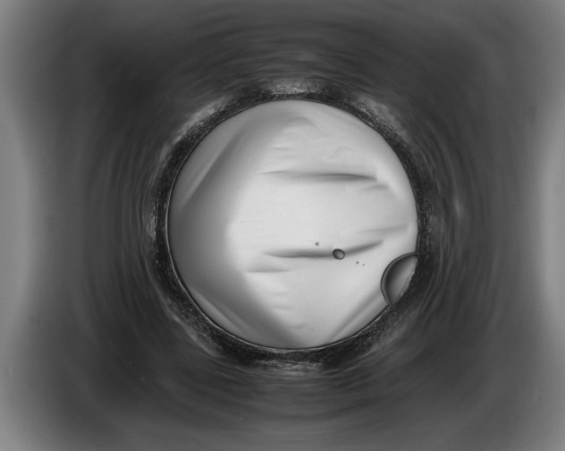 X0000086310539200704202004