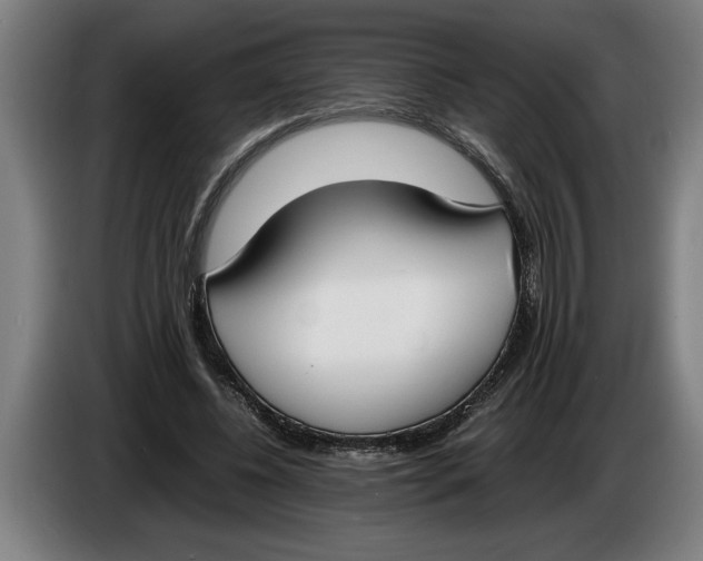 X0000086310540200704202004