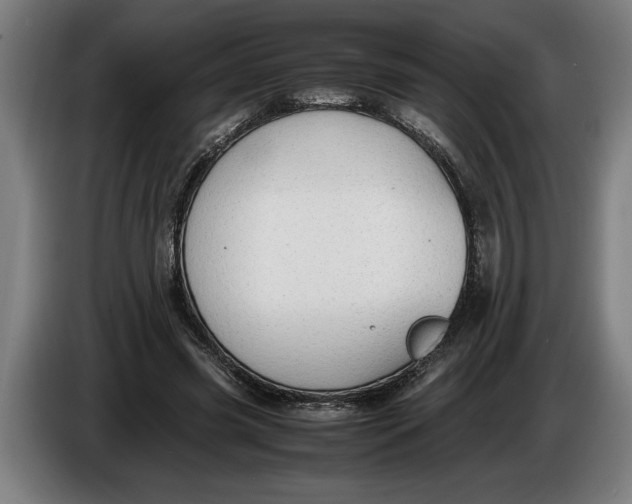 X0000086310541200704202004