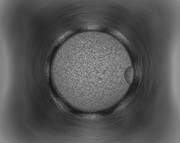 X0000086310542200704202004