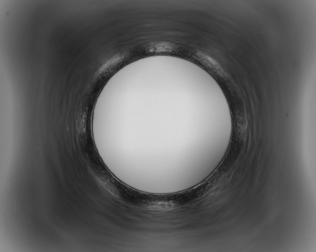 X0000086310543200704202004